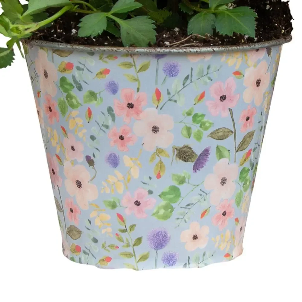 Shabby Chic Metal Planter Blue Floral Flower Pot Bucket Country Cottage Decor